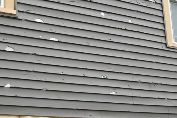 Best Storm Damage Siding Repair  in Cobden, IL